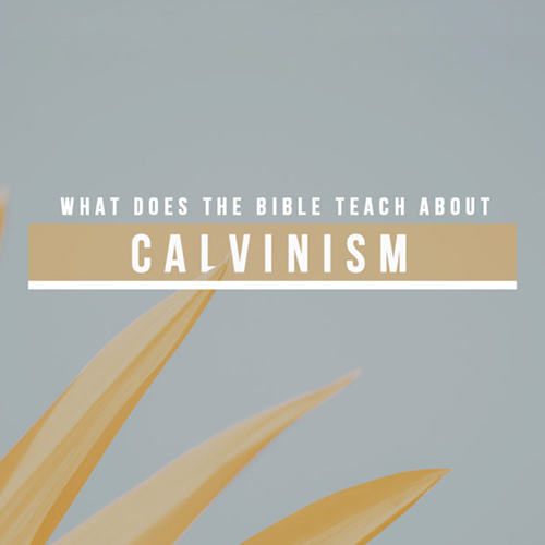 Image: Calvinism Message Series Cover